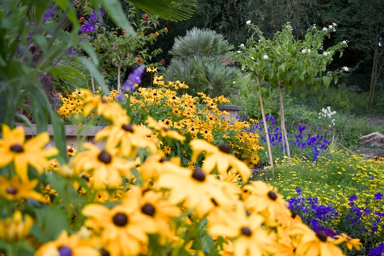 Farbenpracht und Ruhe im Botanischen Garten.