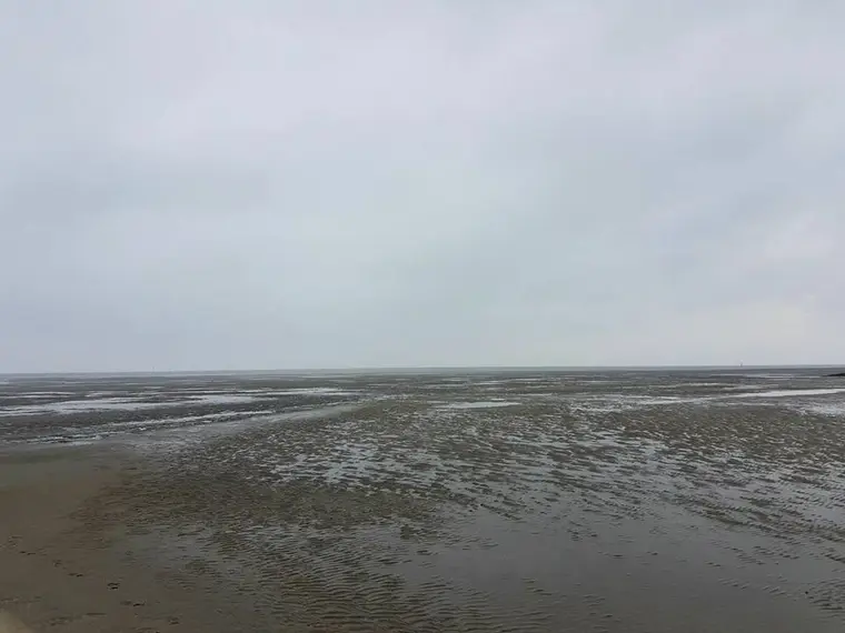 Wanderung bei Ebbe – das Grau gehört dazu