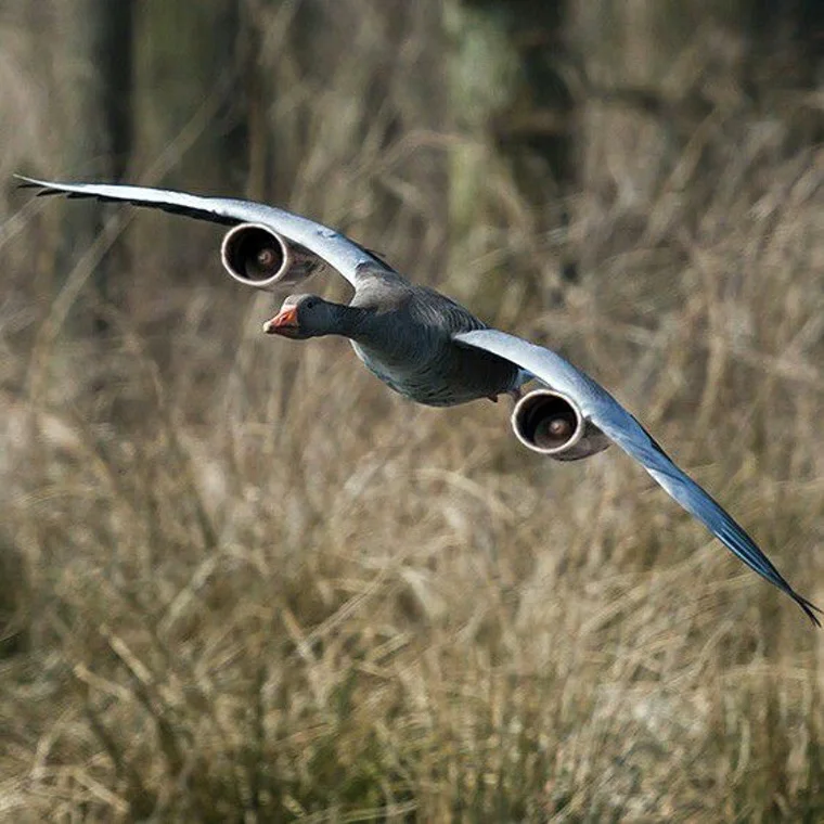 Die Reise nach Göttingen vergeht wie im Flug