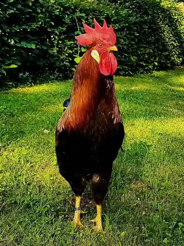Heimfahrt: Todmüde und dieser rücksichtslose Arsch ist schuld daran 😈