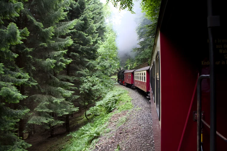 Durch Wälder und Tunnel geht die Fahrt zurück.