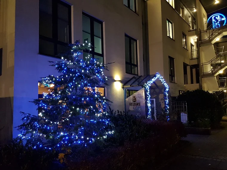 Weihnachtsbaum im Dunkeln – auch er strahlt königsblau