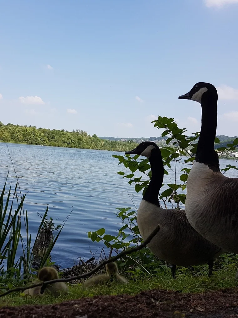 Mama und Papa beäugeln mich skeptisch
