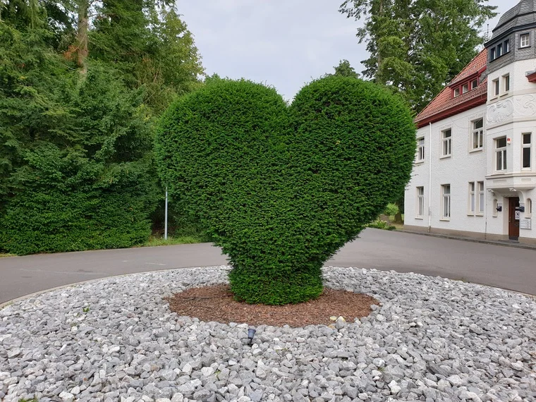 Der Körper bremst, das Leben geht weiter.
