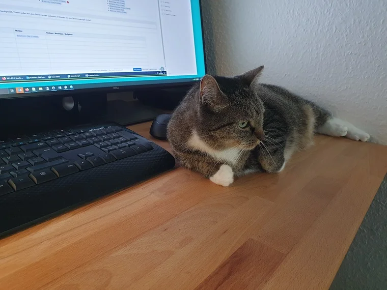 Frisch gestartet in den Homeoffice-Tag