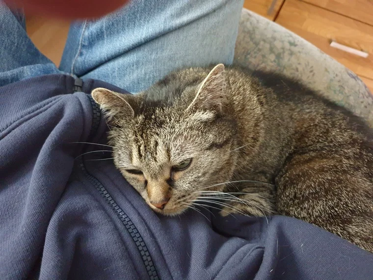 Kleine Mittagspause