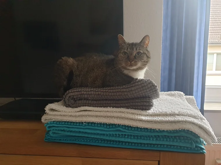 Zwischendurch Haushalt erledigen