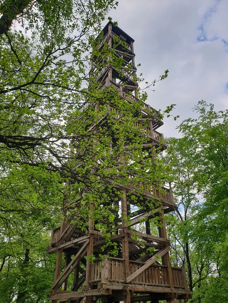 Der Feuerturm von unten – imposant und einladend zum Aufstieg