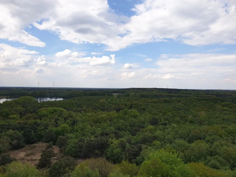 Aussicht von oben – ein Panorama zum Staunen
