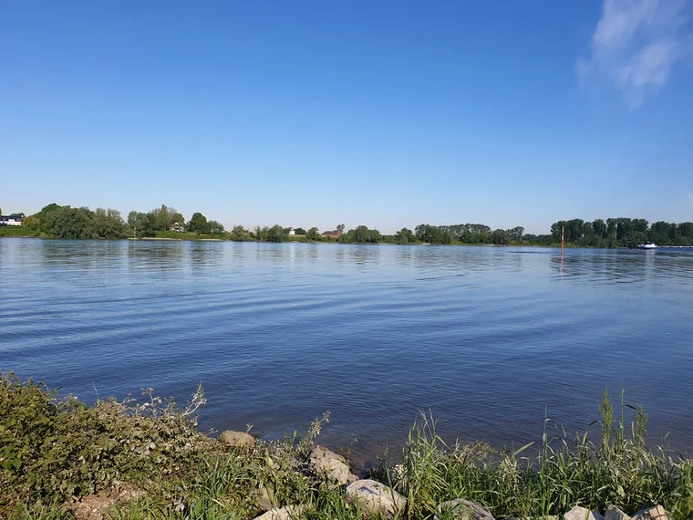 Blick über den Rhein – Anreise zur Besichtigung mal anders