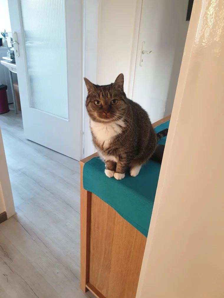 Leo – der beste Türsteher für den Tagesbeginn.