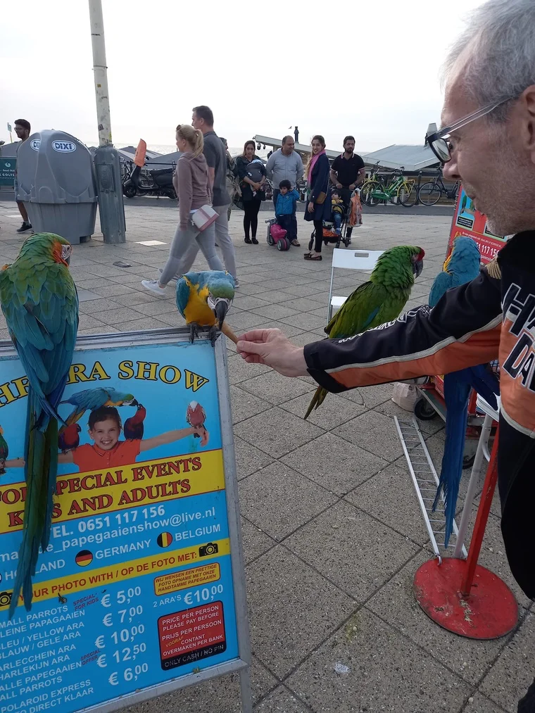 Ich kenn weder die Jacke noch den Vogel. Aber wir verstehen uns.