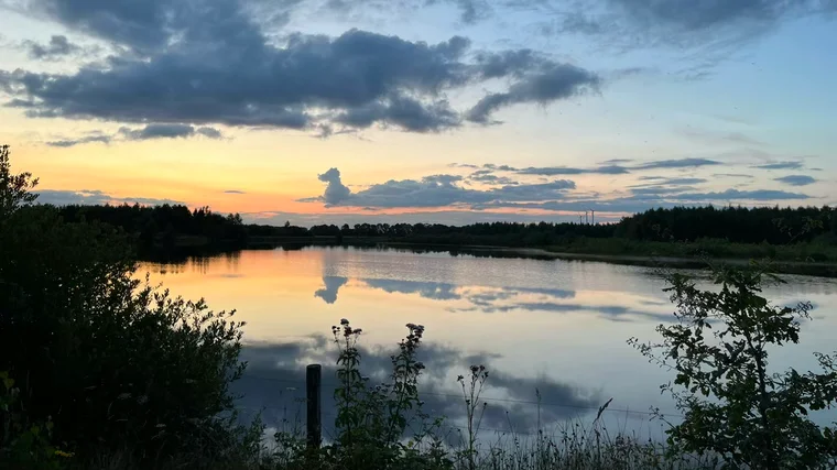 Sonnenuntergang am Nationalpark De Maasduinen.