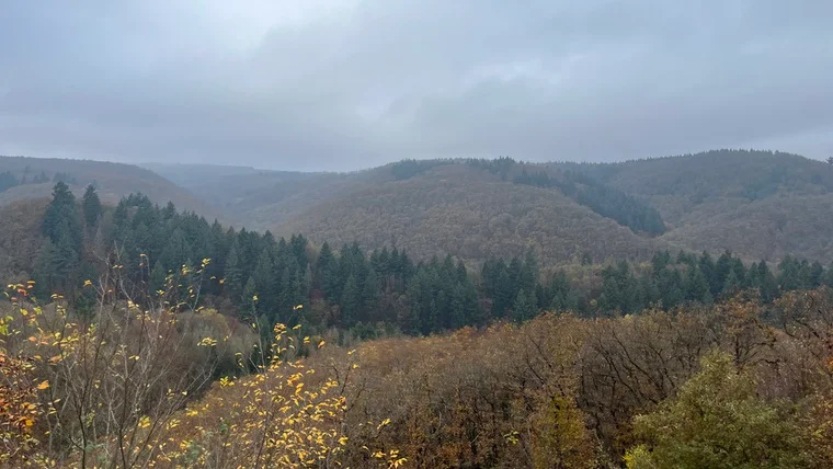 Blick aus dem Zugfenster – sanfte Hügel und Rheintal