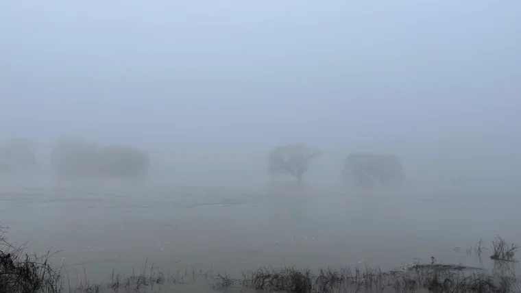 Nebliges Winterpanorama im Nationalpark