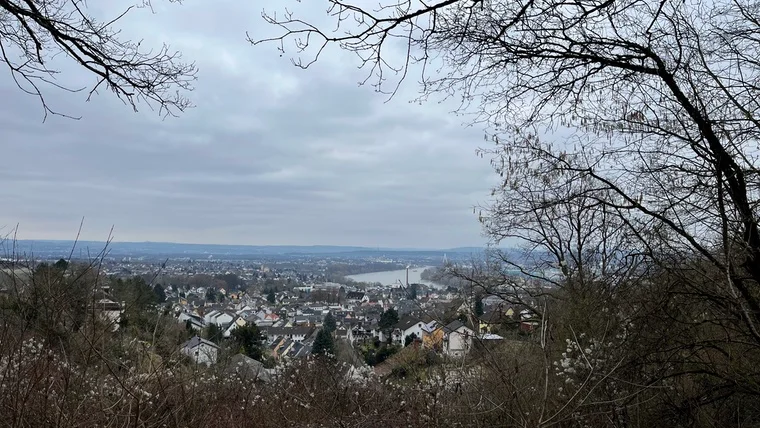 Graues Rheinpanorama in Neuwied – winterliche Stimmung deluxe
