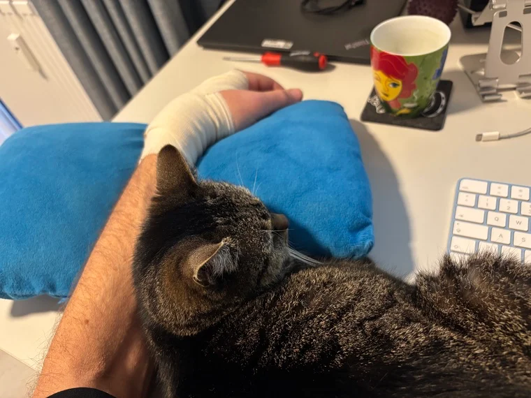 Tiere merken einfach, wenn’s nicht rund läuft.