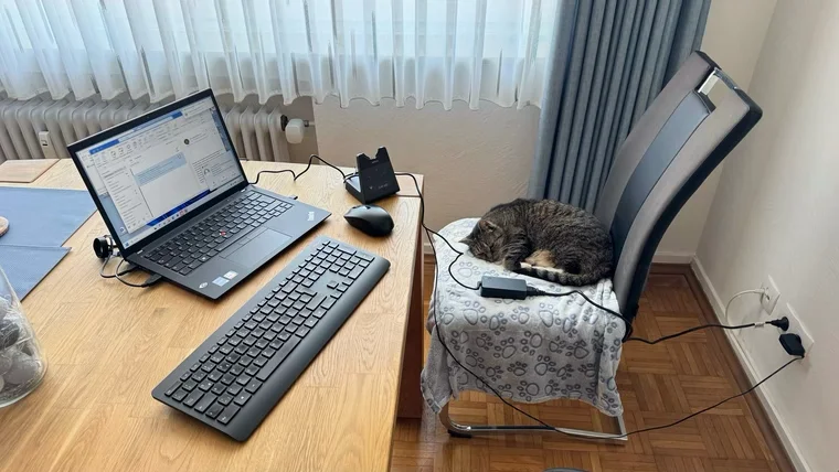 Leo am neuen Arbeitsplatz – natürlich mit bestem Platz.